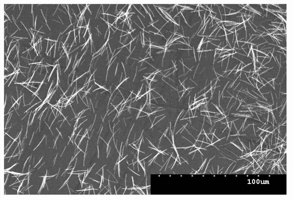 Method of preparing silver nanowire by utilization of hydrothermal method