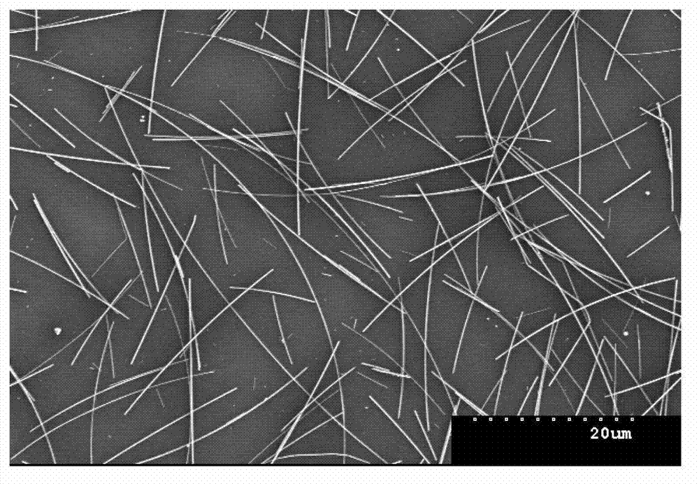 Method of preparing silver nanowire by utilization of hydrothermal method