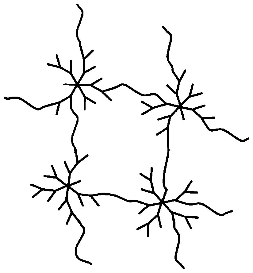 Preparation method of topological elastomer with highly branched structure and low modulus and high elasticity