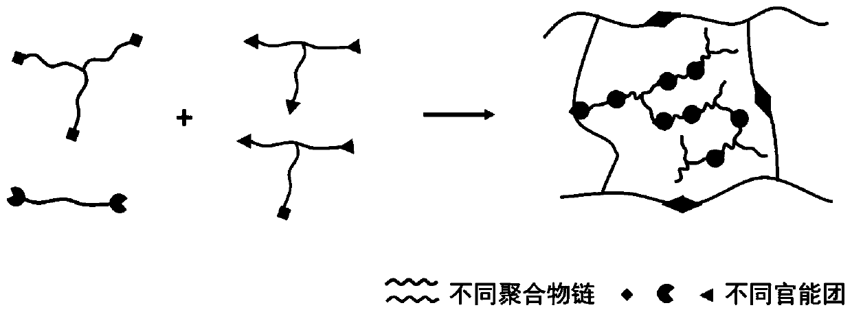 Preparation method of topological elastomer with highly branched structure and low modulus and high elasticity