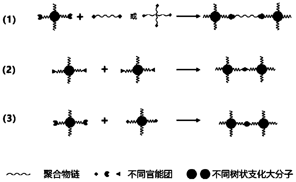 Preparation method of topological elastomer with highly branched structure and low modulus and high elasticity