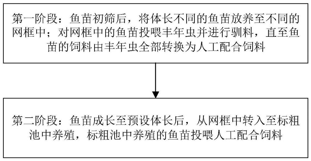 Sectional type rapid temporary culture method for grouper fries