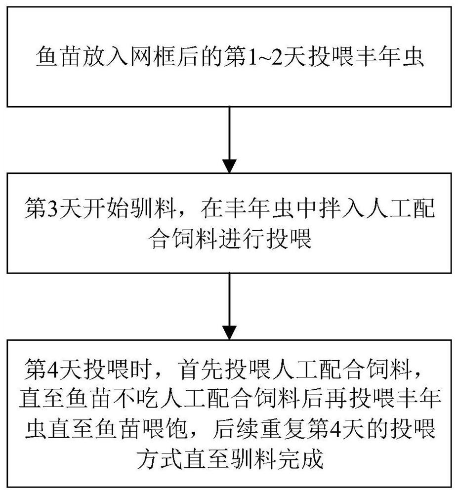 Sectional type rapid temporary culture method for grouper fries