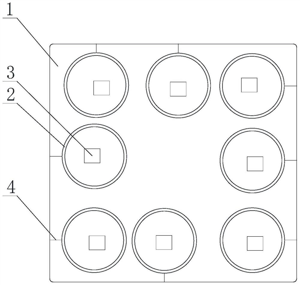 Sectional type rapid temporary culture method for grouper fries