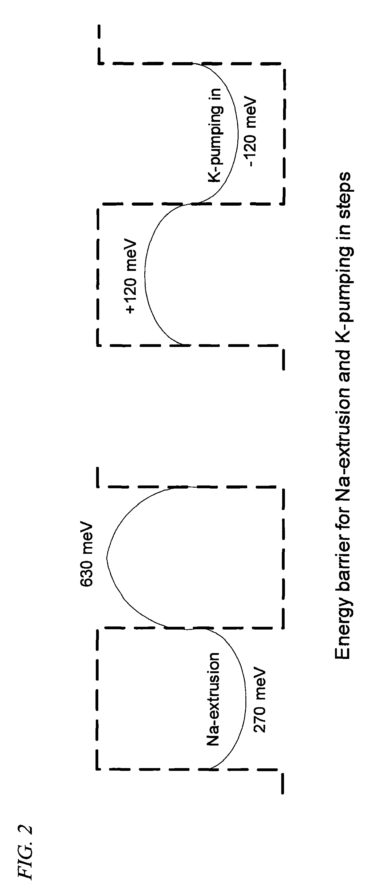 Method of electrogenically controlling pump molecules