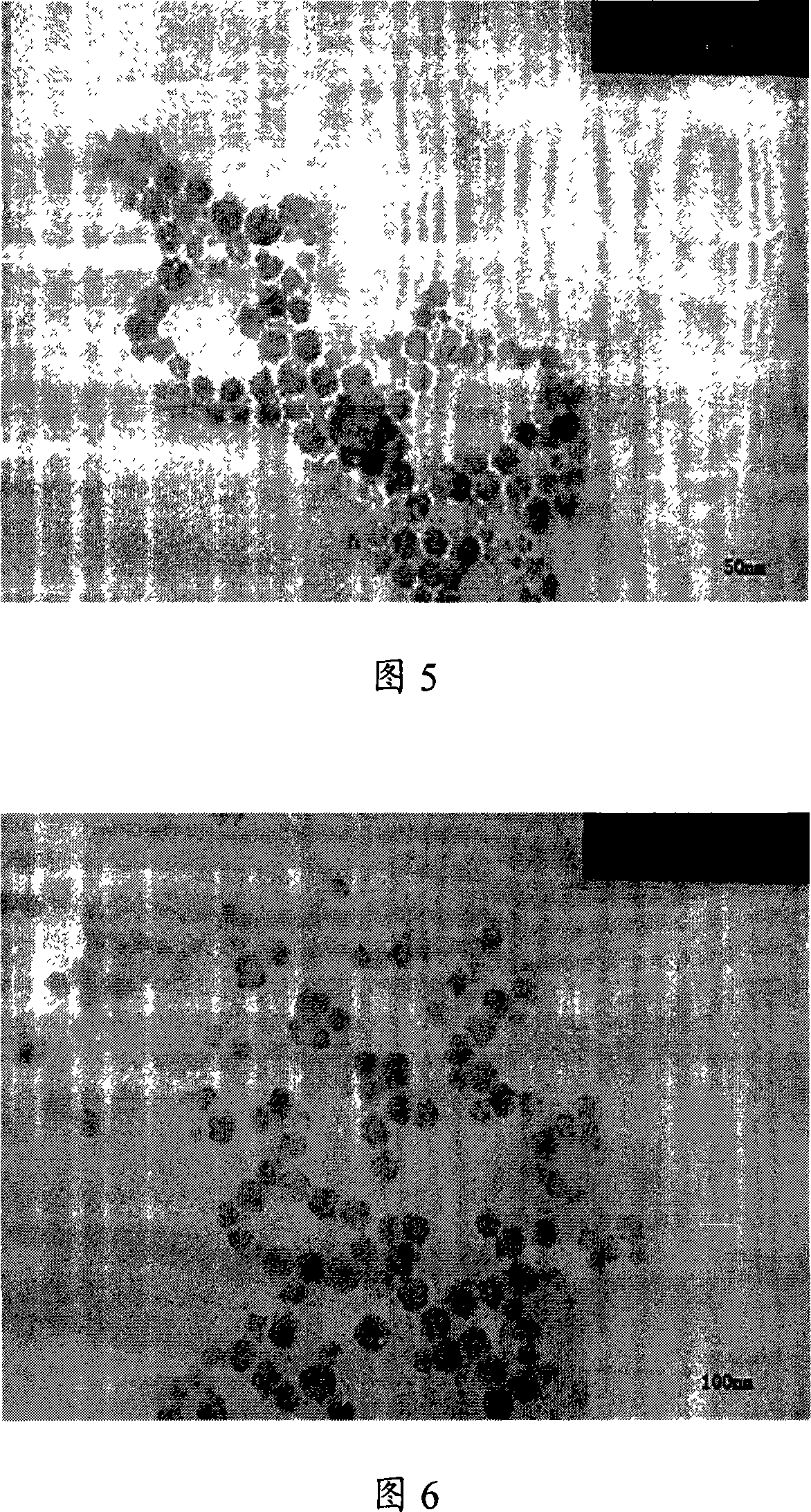 Method for preparing water soluble hypocrellin silica nanometer particle and its application in preparing venous injection