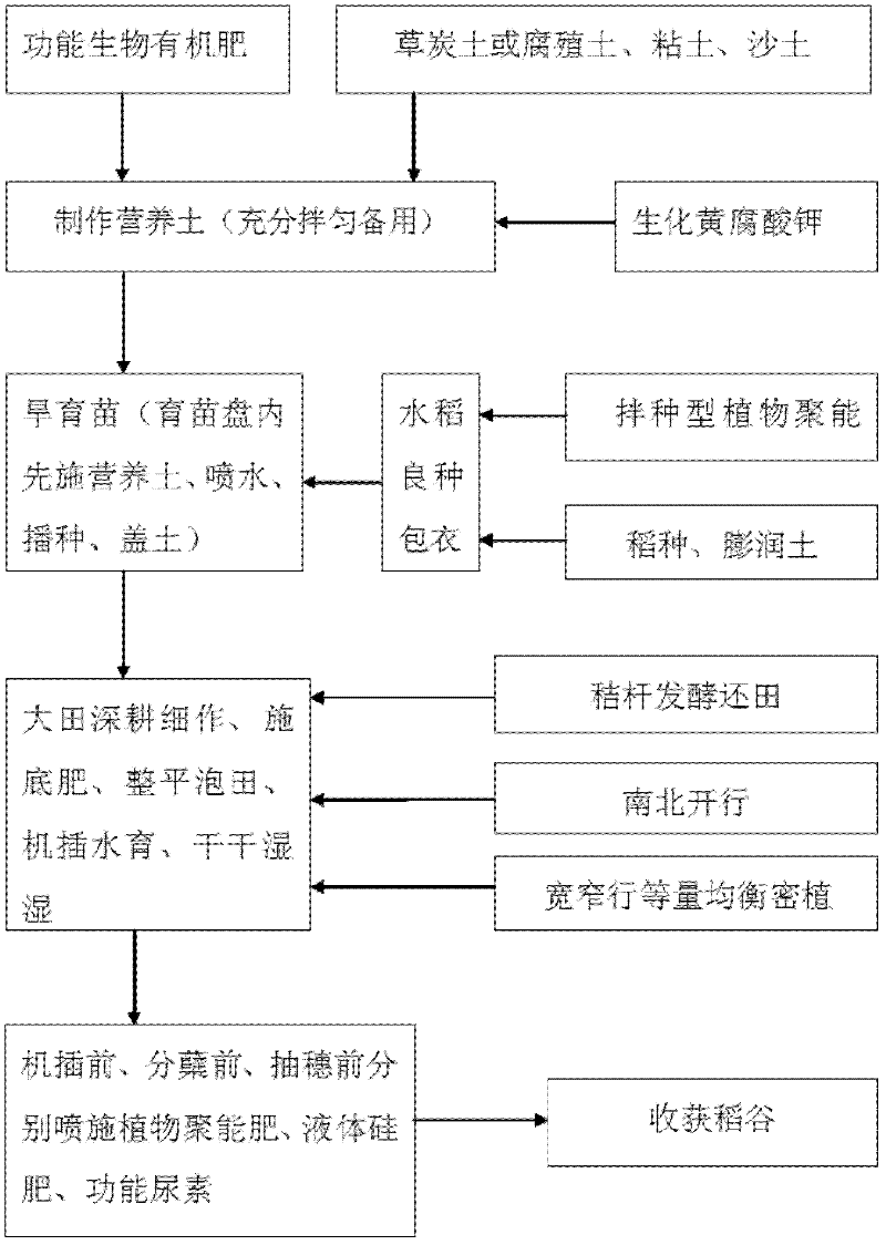 Novel cultivation, precise fertilizer-application and comprehensive cultivation method for rice