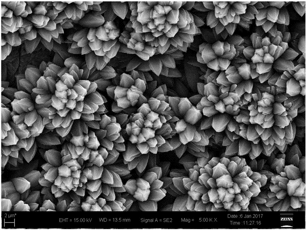 Method for realizing Ni-MOF-74 in-situ growth on foam nickel