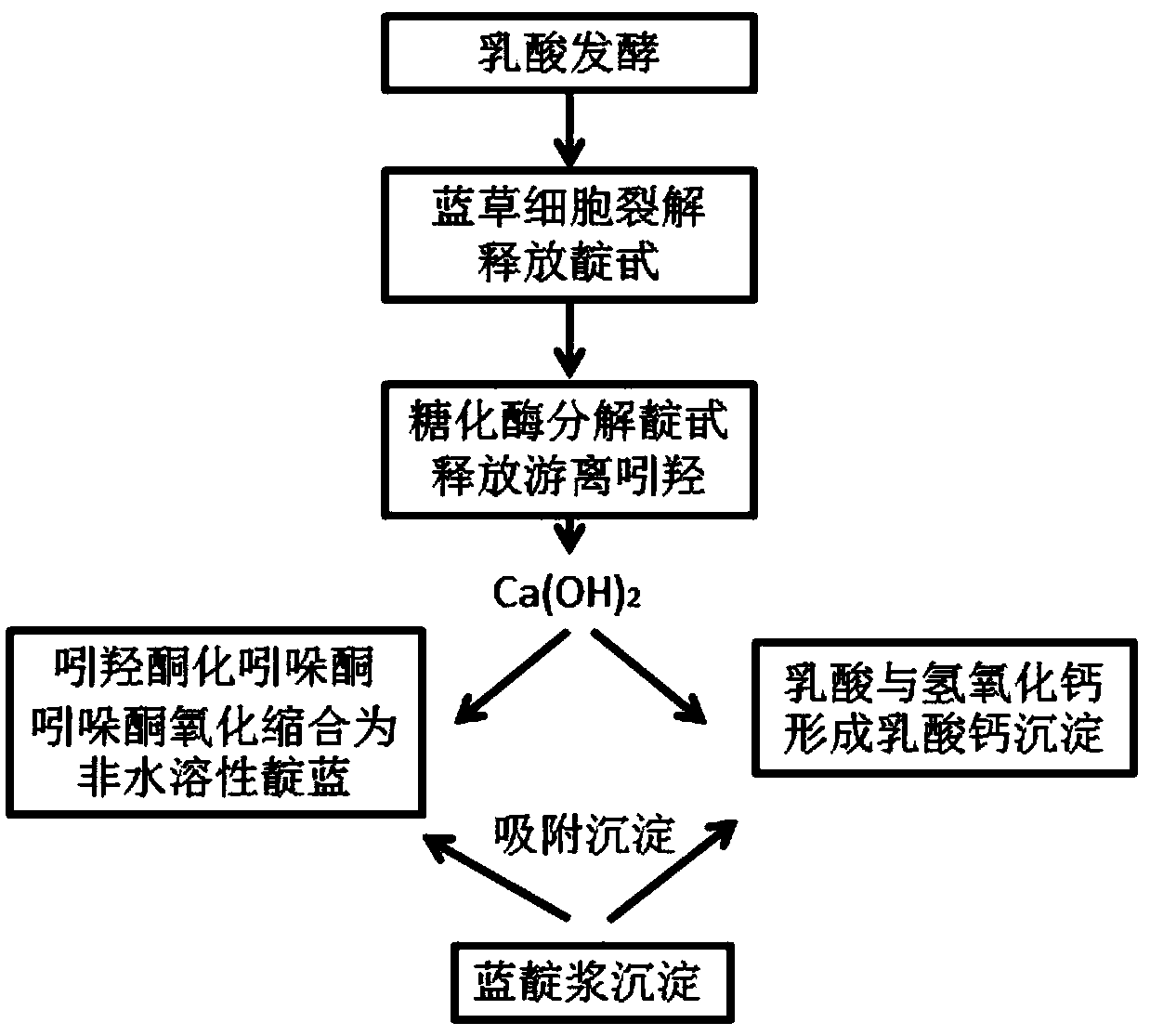 Method for preparing high-quality indigo slurry based on lactic acid bacterium fermentation