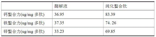 Porphyra metal-chelating protein peptide and preparation method thereof