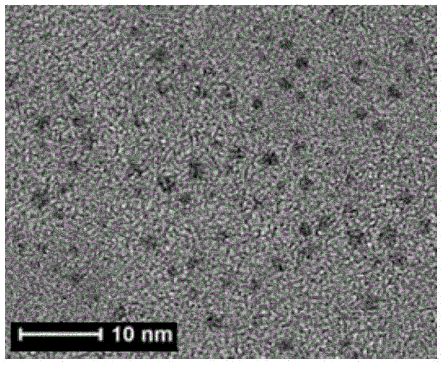 Preparation method and application of fluorescent gold nanoparticles