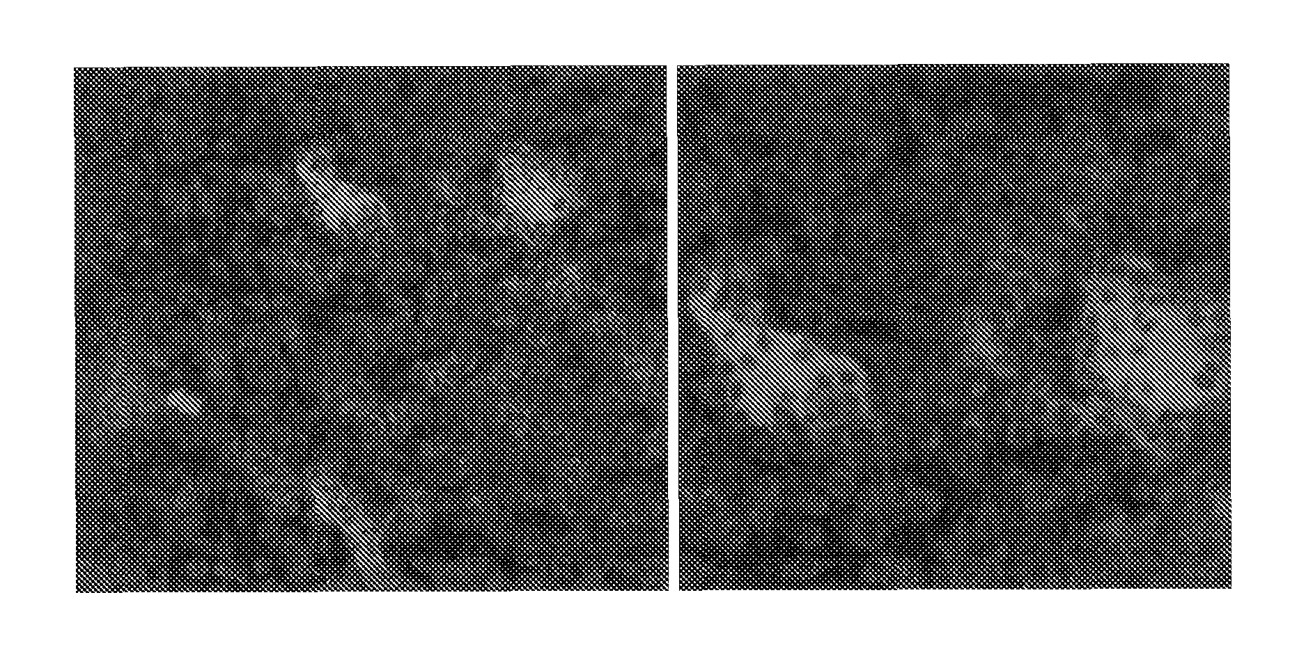 Human antibodies neutralizing human metapneumovirus