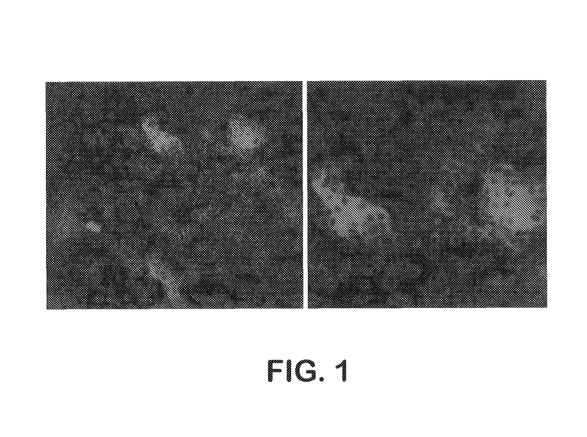 Human antibodies neutralizing human metapneumovirus