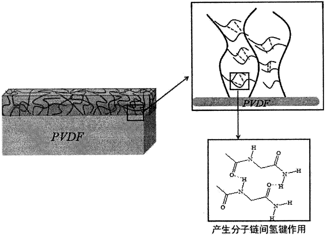 Water gel modified anti-protein pollution ultrafiltration membrane and preparation method thereof