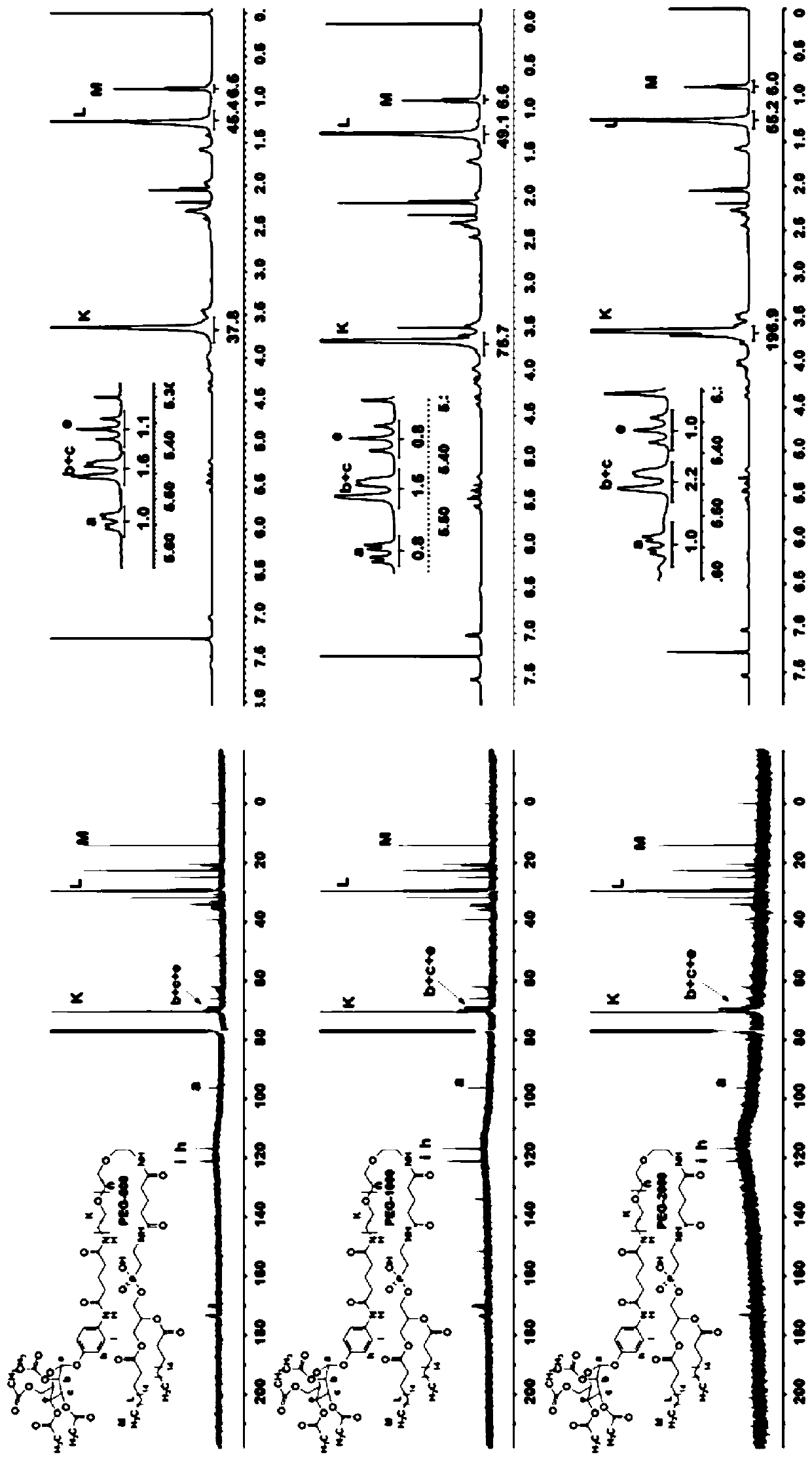 A kind of heart-brain dual-targeting liposome and its preparation method and application