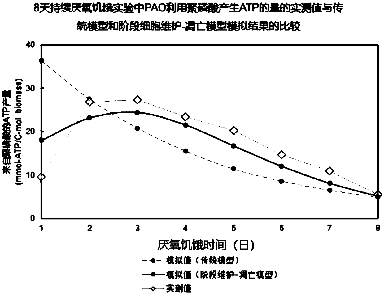 Method for optimizing phosphate-accumulating organism enrichment in sewage strengthened biological phosphorus removal course and method for improving properties of sewage strengthened biological phosphorus removal course