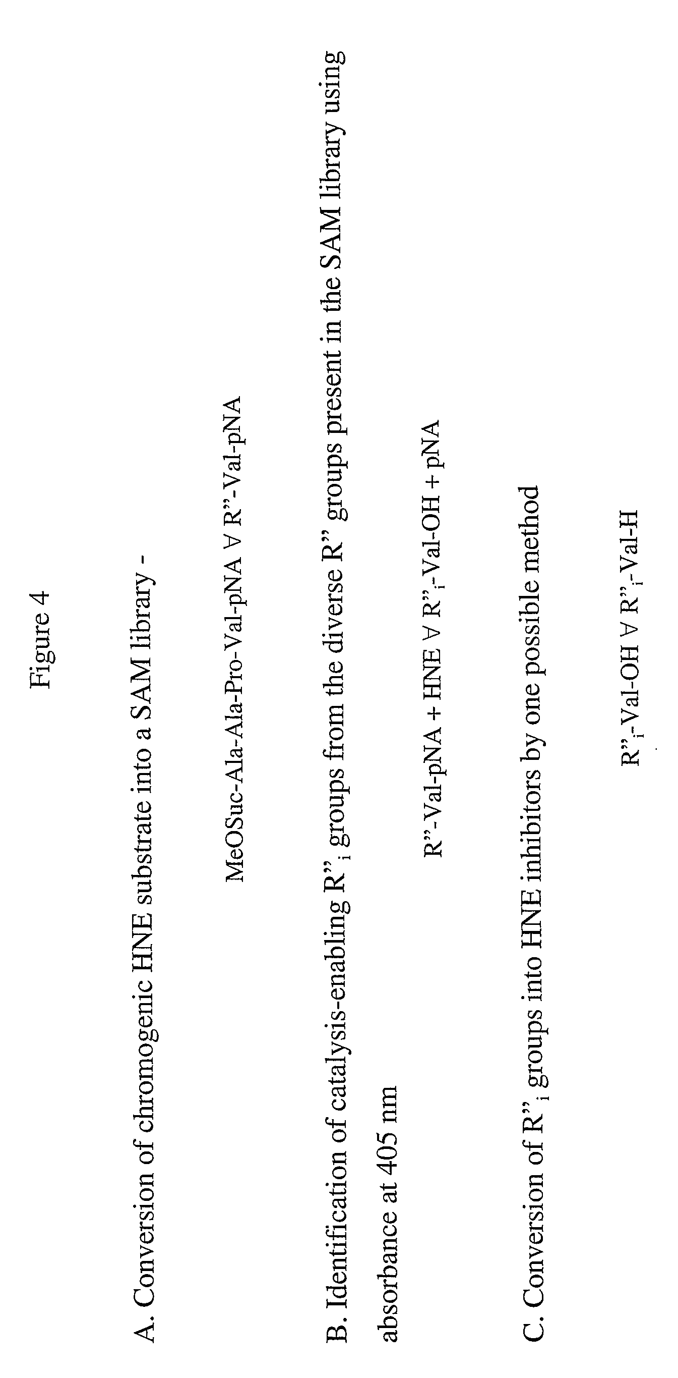 Methods for identification of inhibitors of enzyme activity