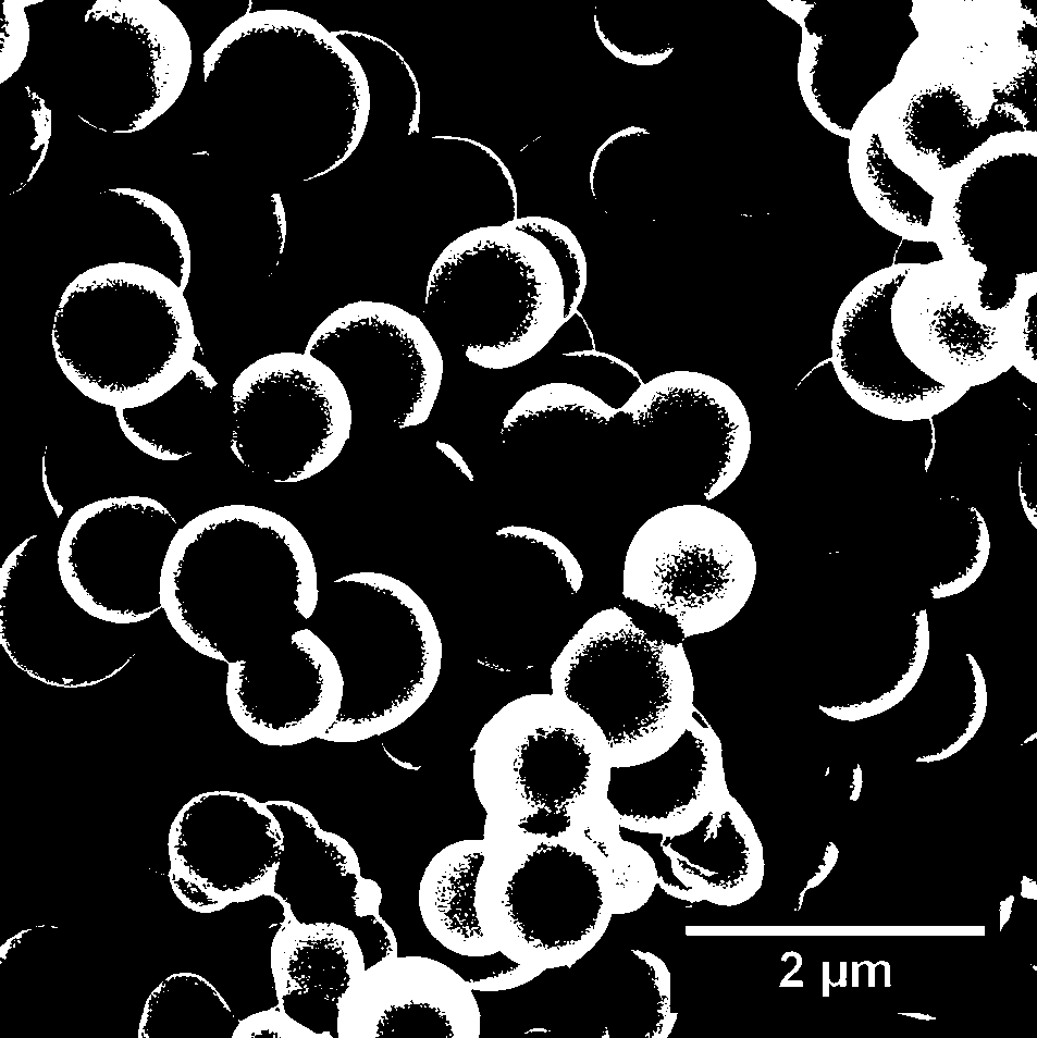 Cerium-doped tungsten phosphide submicron sphere composite material, preparation method and application thereof