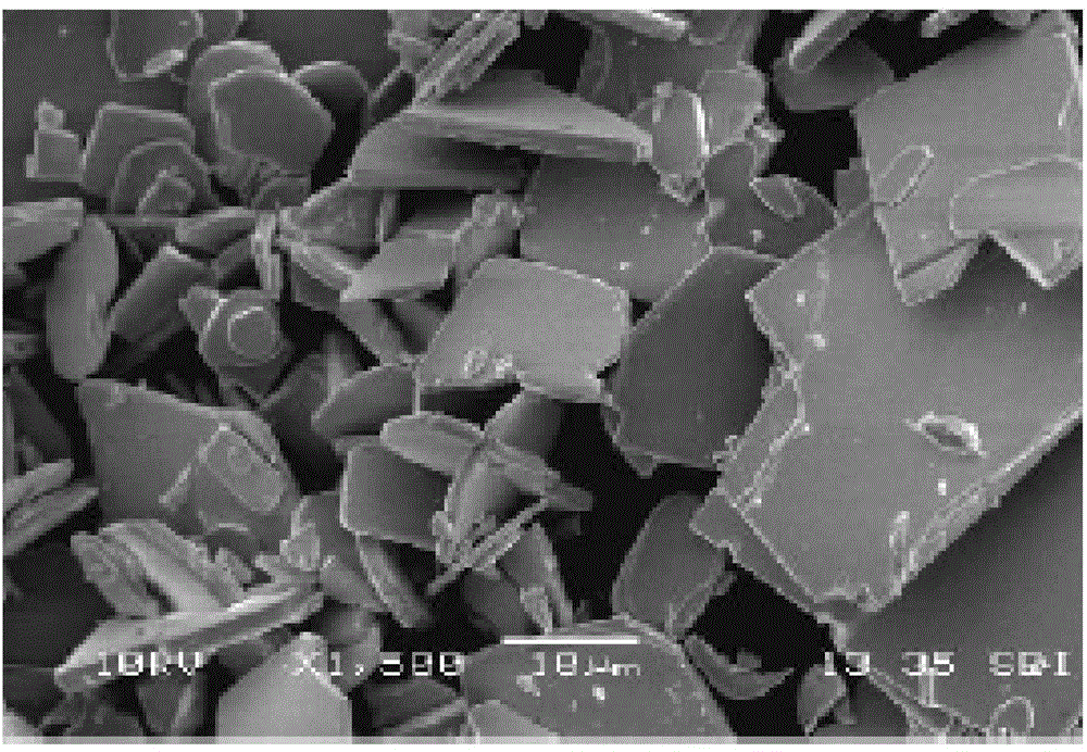 Method for synthesizing flaky sodium niobate powder with large length-diameter ratio