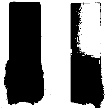 Butyl adhesive tape coated with hot melt adhesive film and preparation method thereof