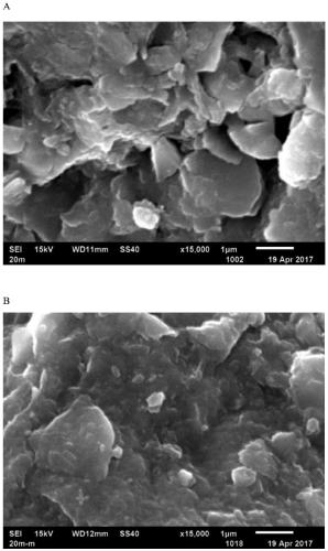 Degradable liquid mulching film and preparation method thereof