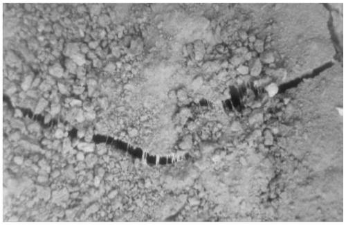 Degradable liquid mulching film and preparation method thereof