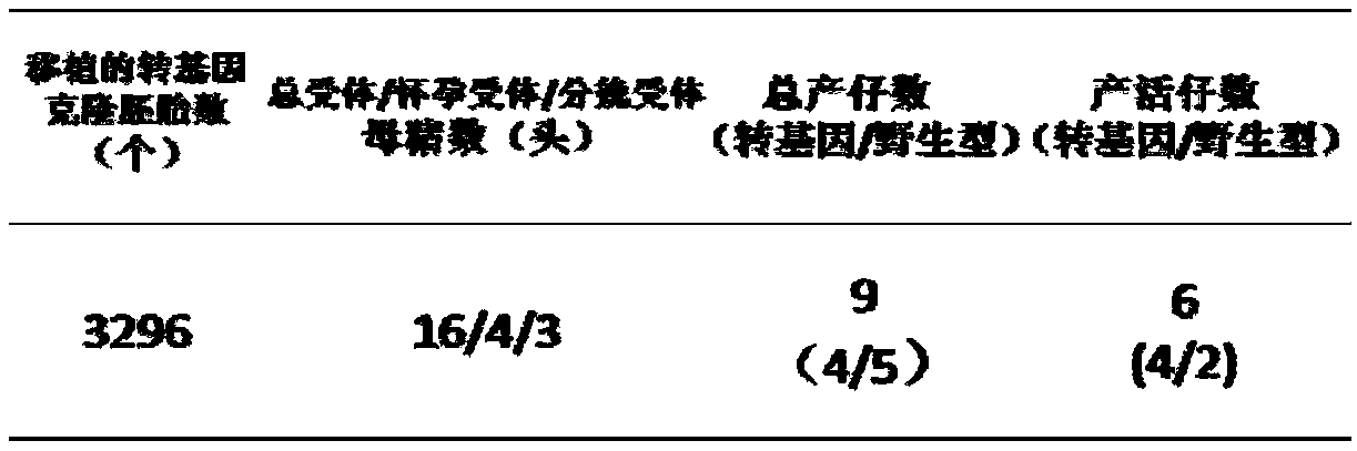 Method for preparing human nerve growth factor using transgenic pig salivary gland