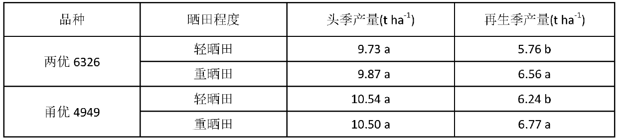 High-yield and high-quality cultivation method for regenerated rice after mechanical harvest with reduced mechanical rolling