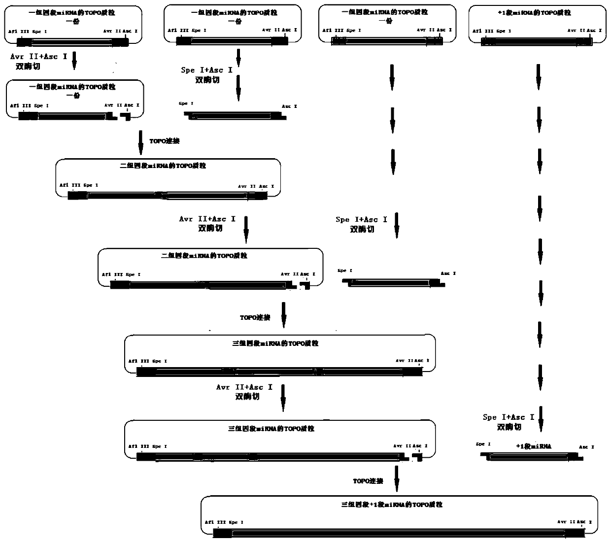 Recombinant HIV (human immunodeficiency virus) defective virus and preparation method thereof