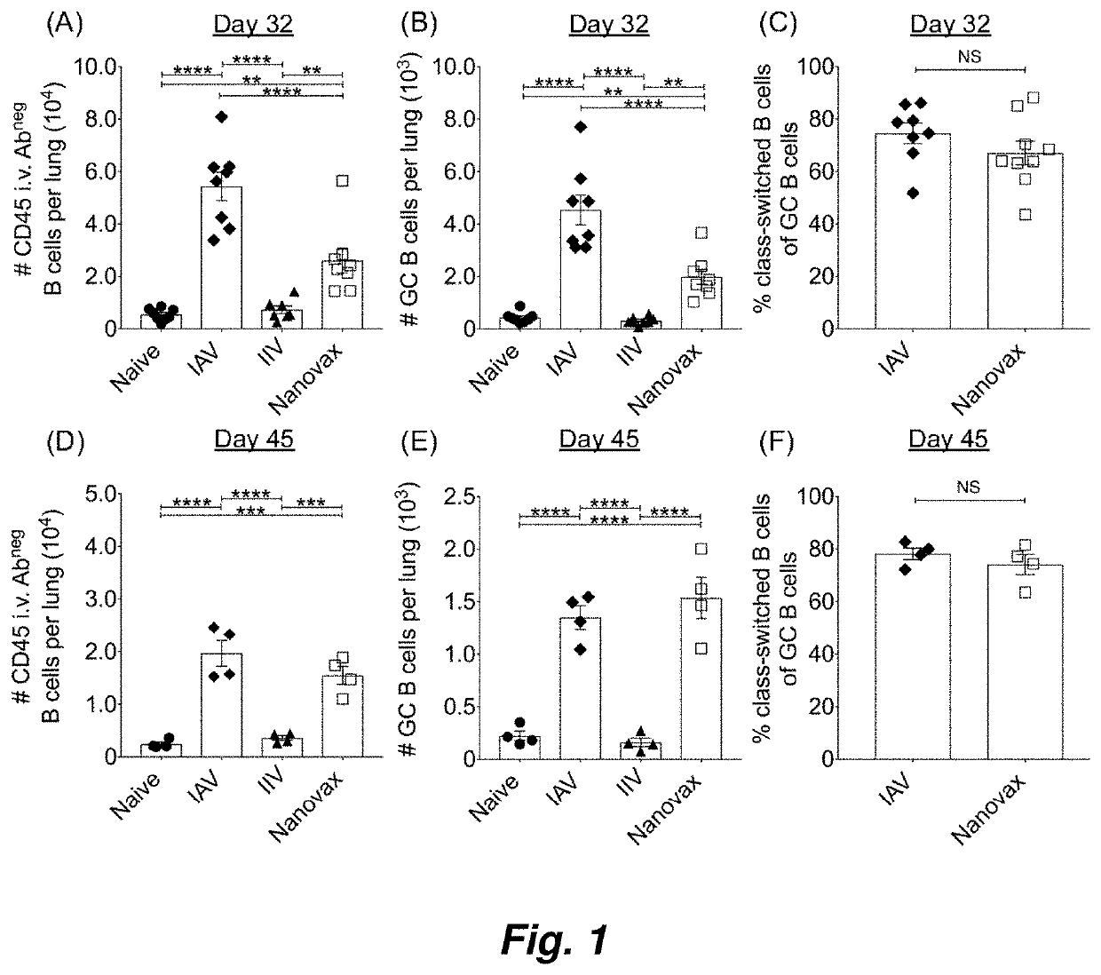 Influenza nanovaccine