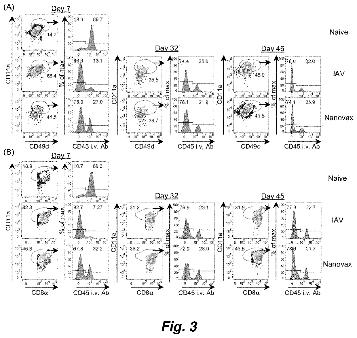 Influenza nanovaccine