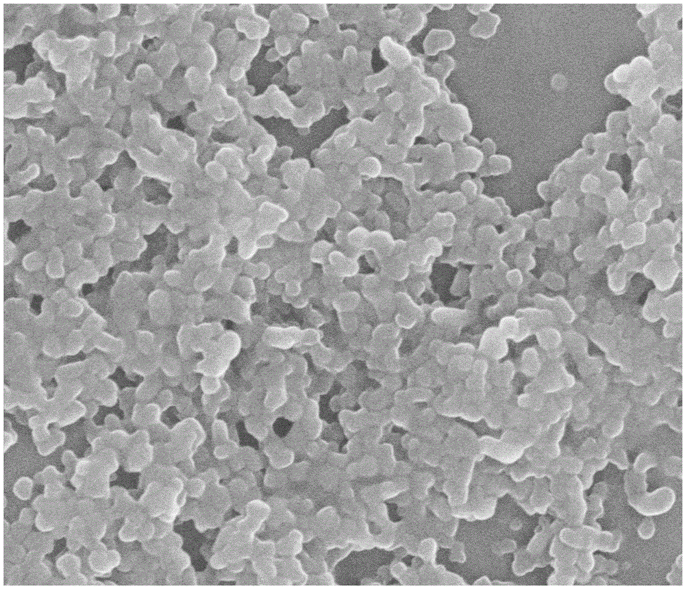 Lymph targeted prussian blue analog nano-particle and preparation method thereof