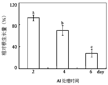 Sterile filter paper cultivation method for studying interaction between plant roots and environment