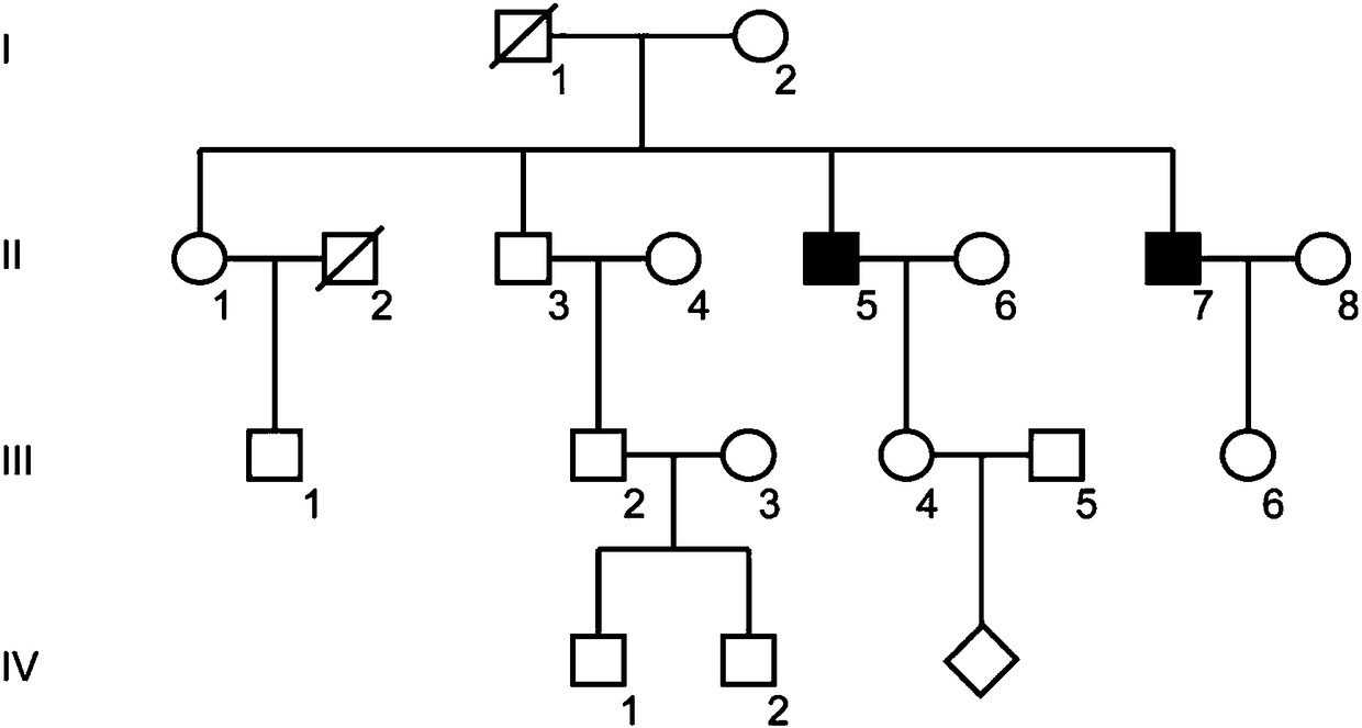 Oculocutaneous albinism type 1 related mutated TYR gene and application thereof to gene diagnosis