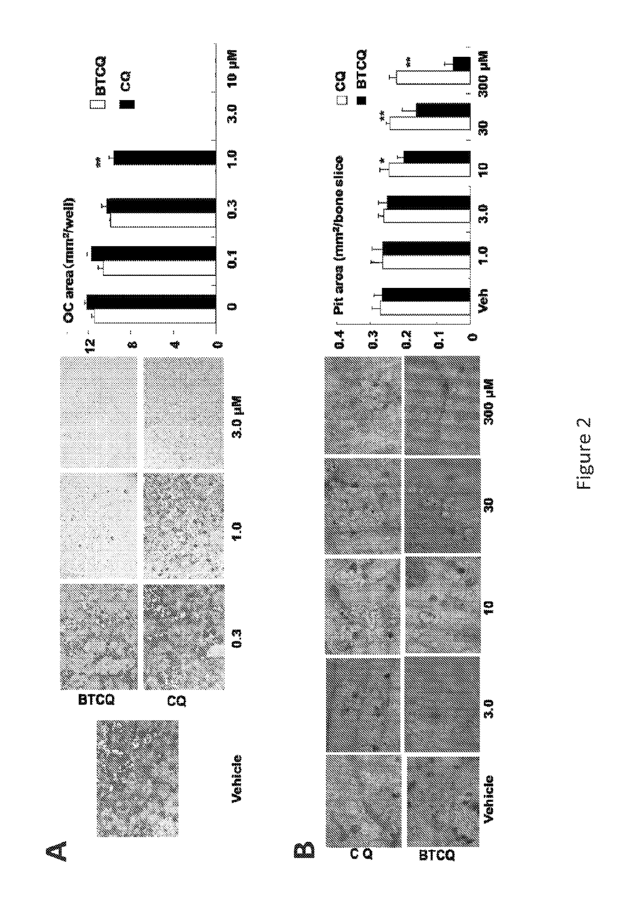 Phosphonate-Chloroquine Conjugates and Methods Using Same