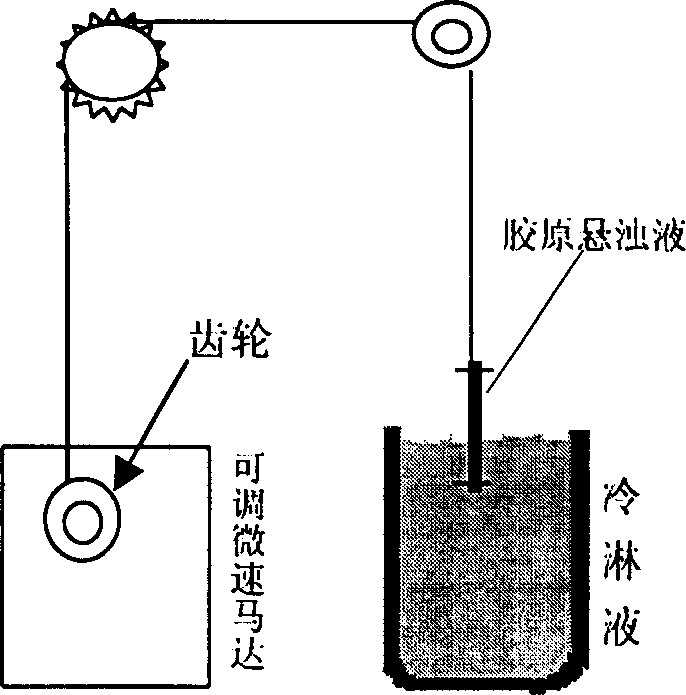 Preparation process of spinal cord and peripheral nerve repairing material