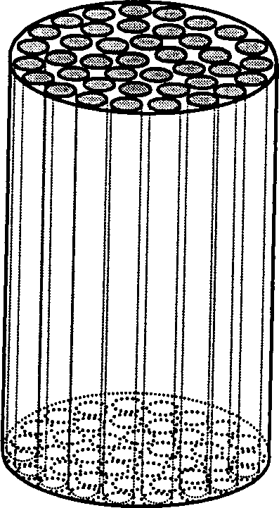 Preparation process of spinal cord and peripheral nerve repairing material