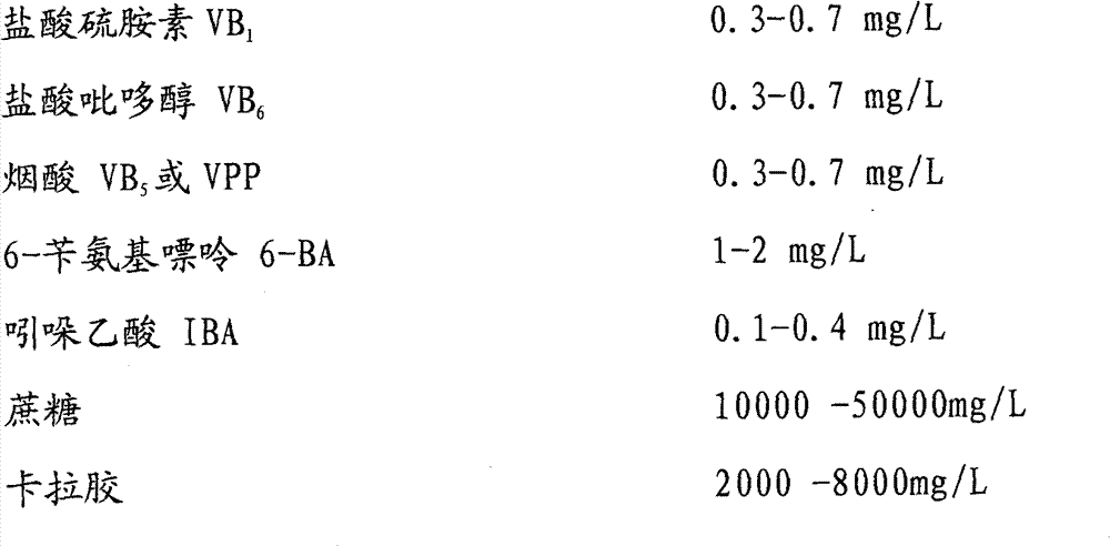 Culture medium for subculture multiplication of tissue cultured seedlings of red-flesh kiwifruits