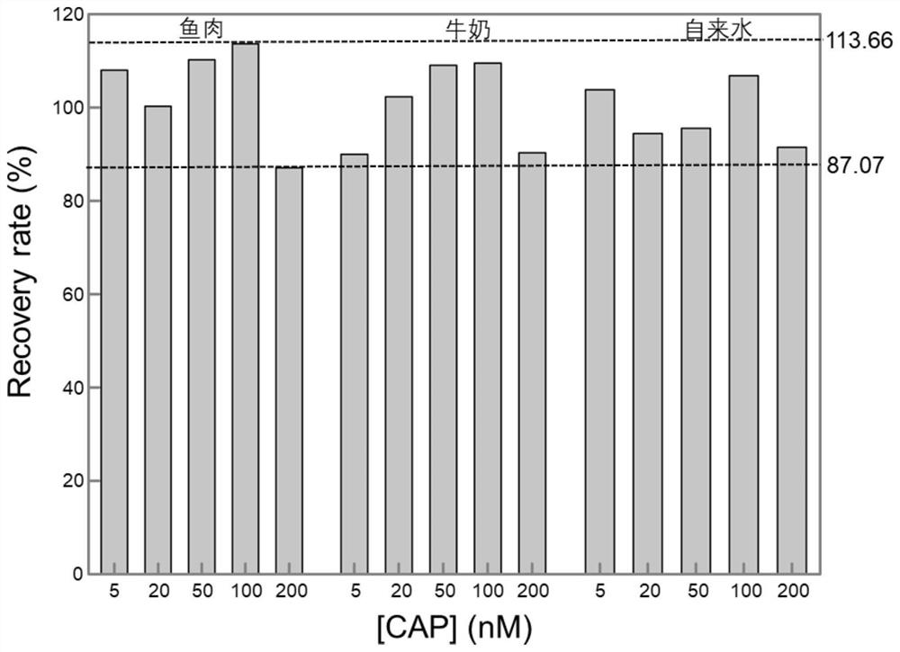 Double-head triple-helix nucleic acid probe and method for detecting chloramphenicol