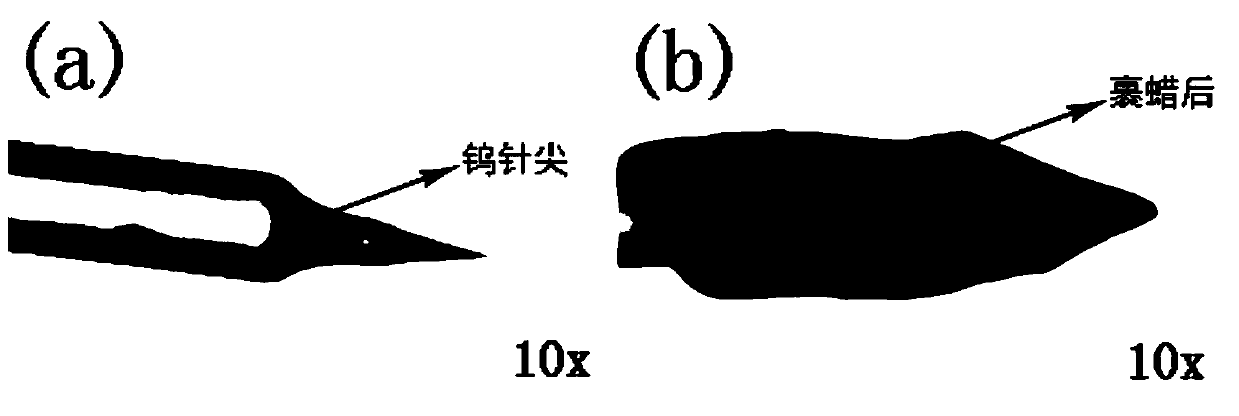 A scanning probe microscope tip coated with a wax layer and its preparation method and application