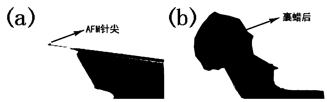 A scanning probe microscope tip coated with a wax layer and its preparation method and application