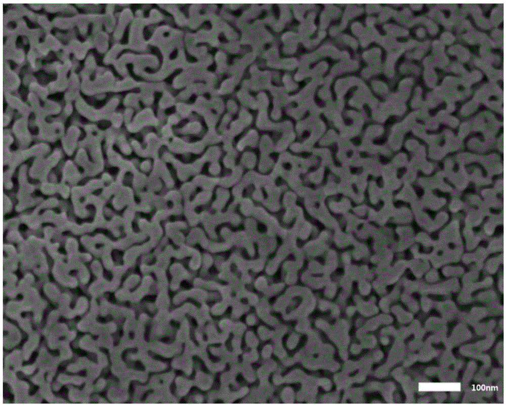 Structure of membrane electrode for SPE water electrolysis and preparation and application thereof