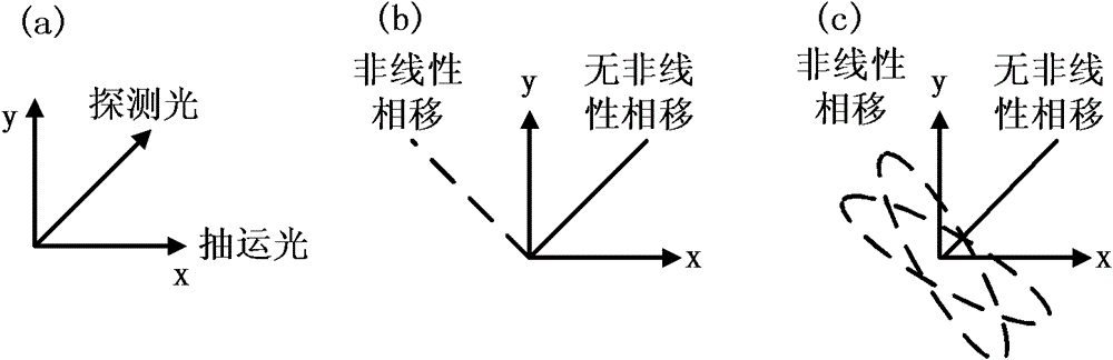 Plenoptic Adder and Subtractor Based on Nonlinear Polarization Rotation Effect