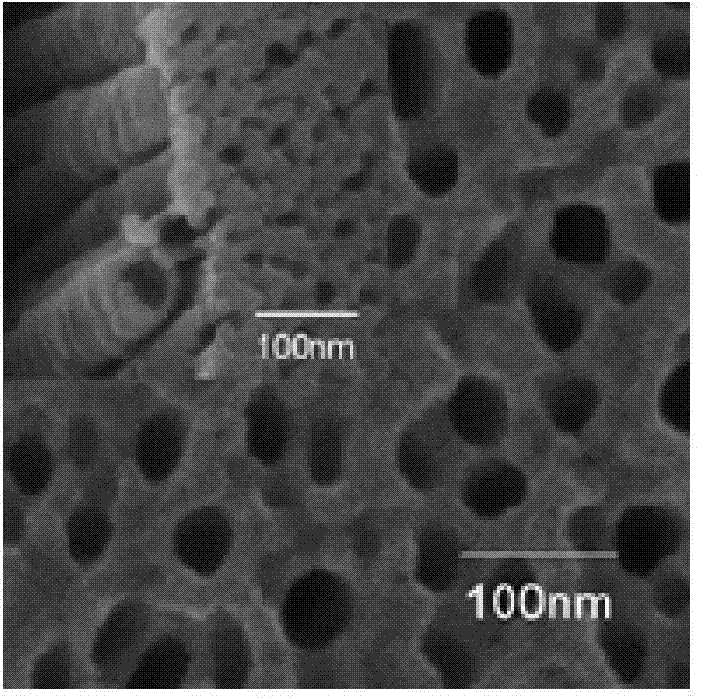 MnS/TiO2 composite nanotube array film for photo-induced cathodic protection and preparation and application thereof