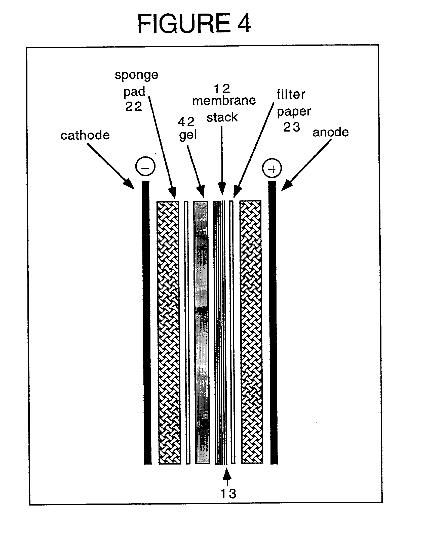 Method and kit for proteomic identification