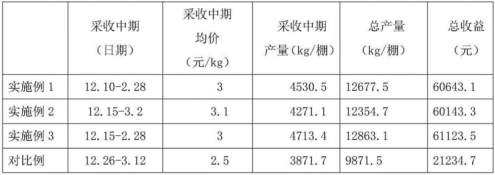 Pesticide and fertilizer combination special for late winter and early spring facility cultivation for early-maturing eggplants and application method