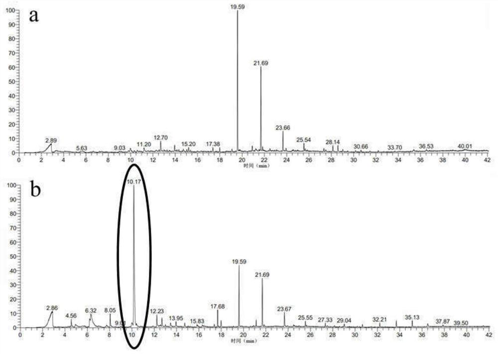 A method for preventing and controlling willow blue leaf beetle adults and the repellant used therefor