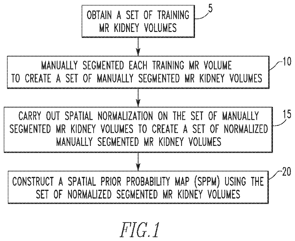 Automated segmentation of organs, such as kidneys, from magnetic resonance images