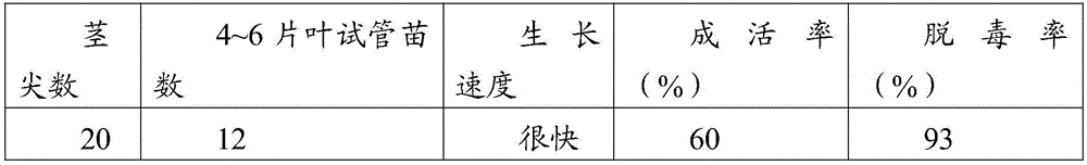 A kind of tissue culture method of rapid detoxification of purple potato