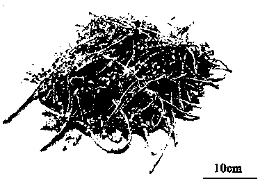 A method for preparing high-performance iron-rich recycled aluminum with trace compound additives